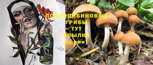 а пвп мука Арсеньев